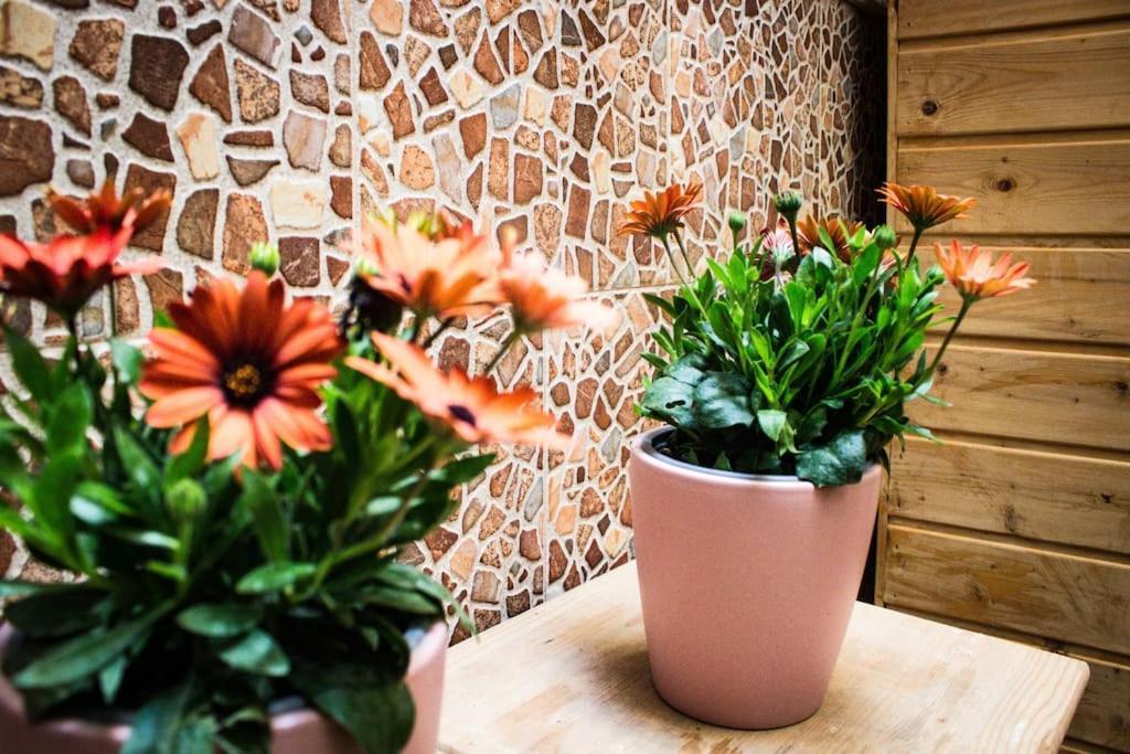 Apartamento Venus Apartment Ронда Екстериор снимка
